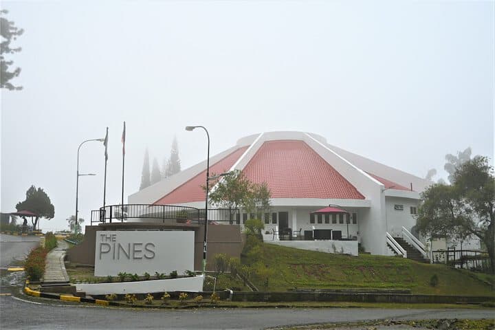 The Pines photo 1