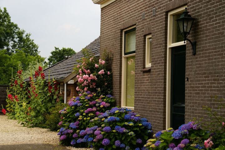 De Heerlijkheid Ruinerwold photo 5