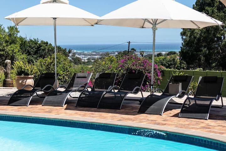 Winelands Villa Guesthouse photo 4