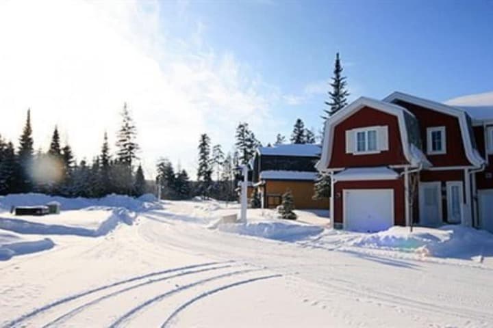 Borealis RVMT photo 5