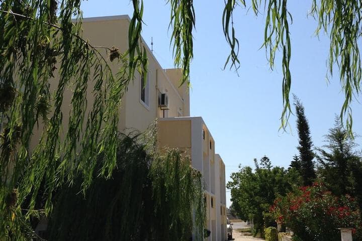 Manine Apartments photo 4