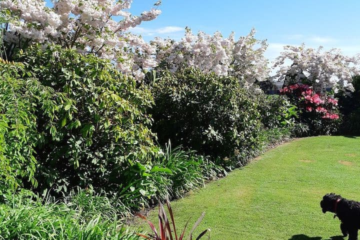 Maples on Harewood photo 3