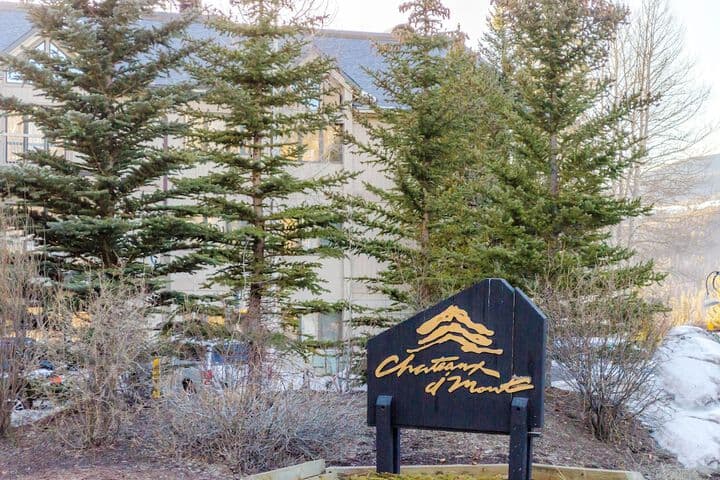 Chateaux Dumont by Summit County Mountain Retreats photo 2