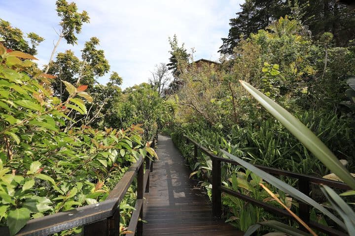 Big Tree House Lodge photo 5