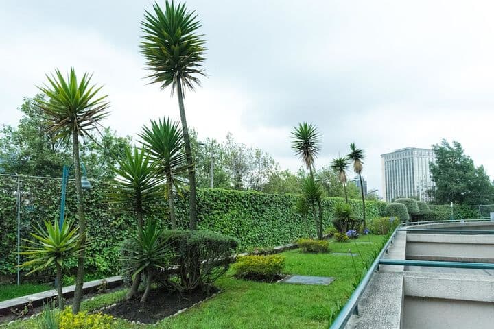 Torres de Suites by InAmazonas photo 3