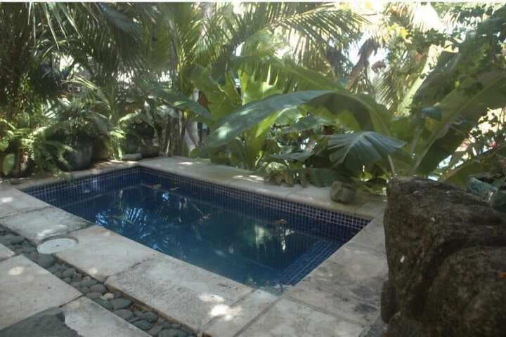 Hotel Selvazul photo 3