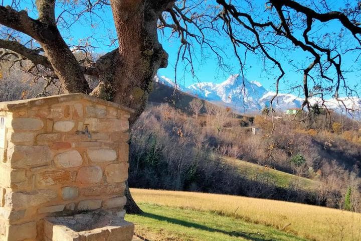 B&B Le Ginestre photo 1