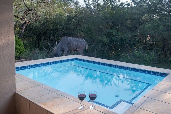 Kruger Cottage photo 4