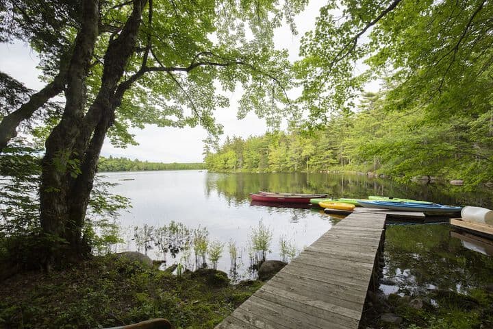 Mersey River Chalets a nature retreat photo 4