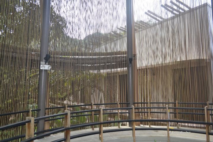 Spin Designer Hostel photo 4