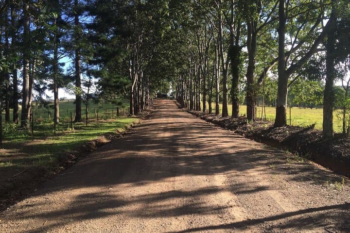 Blackwattle Farm B&B&Farm Stay photo 5