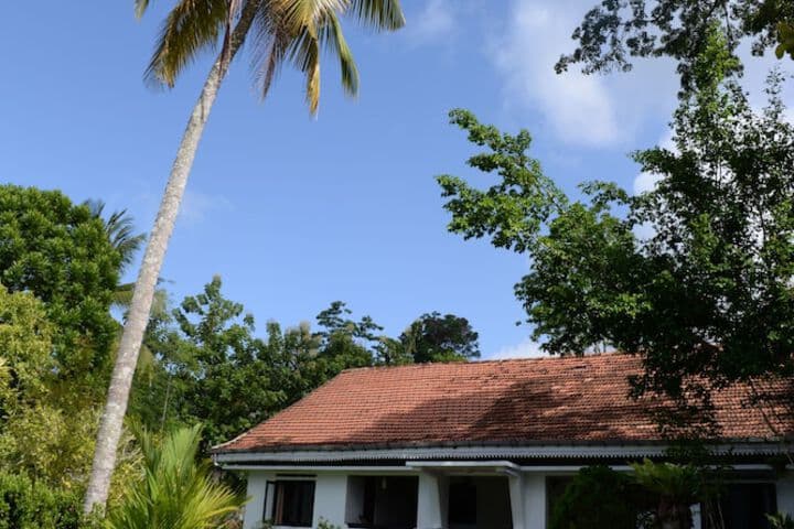 Travel scenery