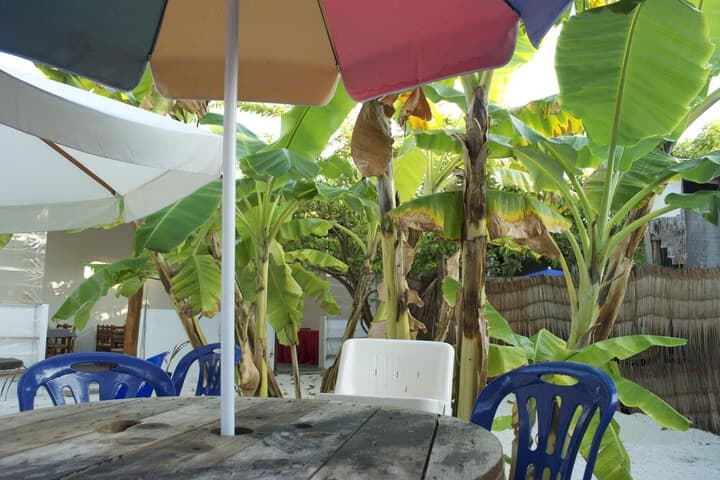 Beach Heaven Maldives Ocean Vibes Guesthouse photo 2