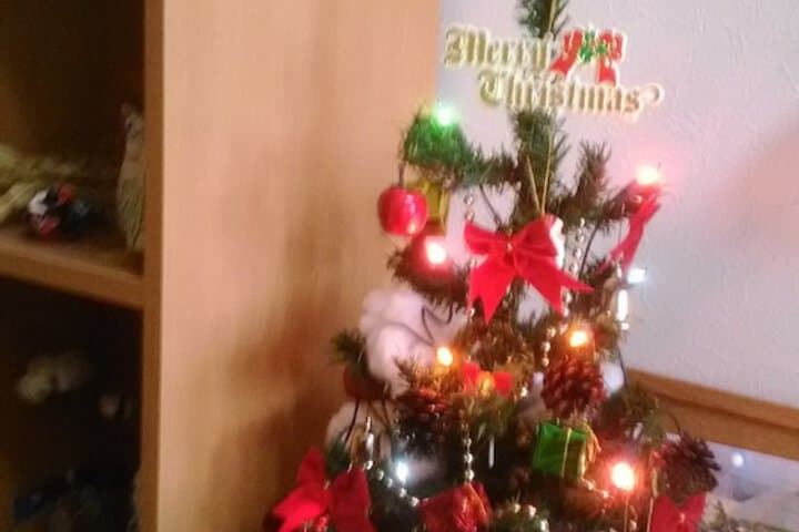 Pension Souvenir photo 5