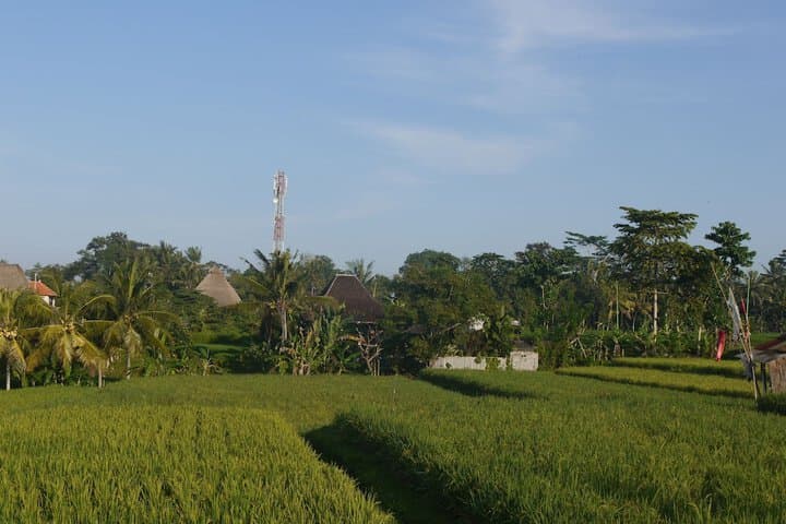 Rumah Dadong photo 4