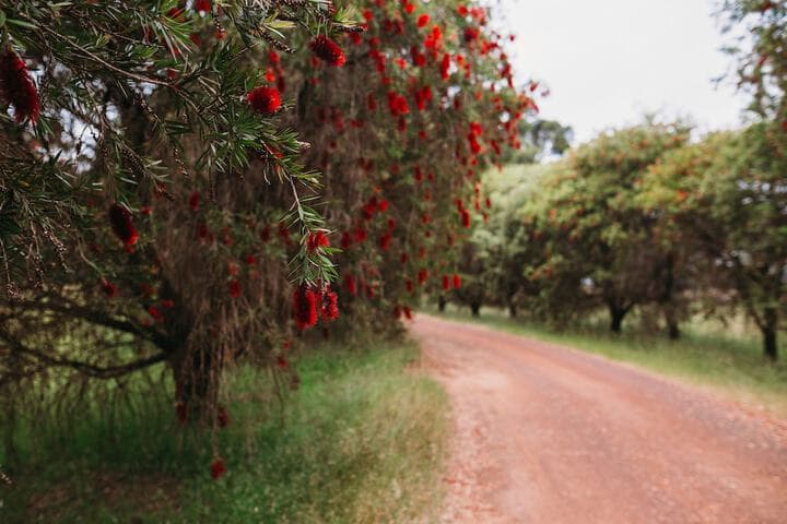 Margaret River Holiday Cottages photo 3