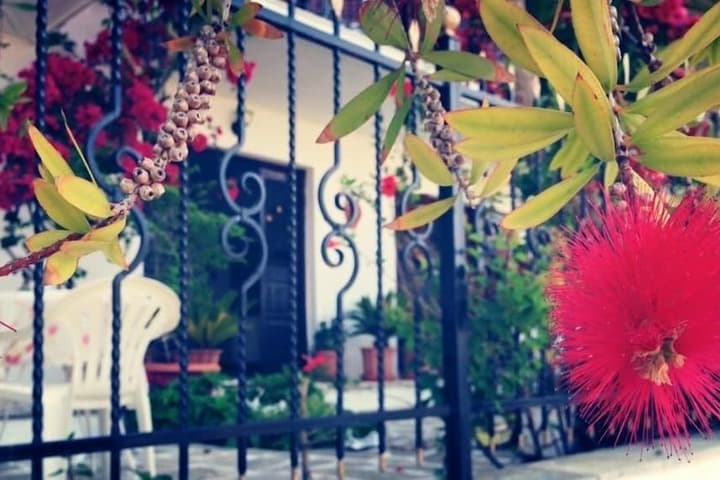 Mimoza Studios photo 3