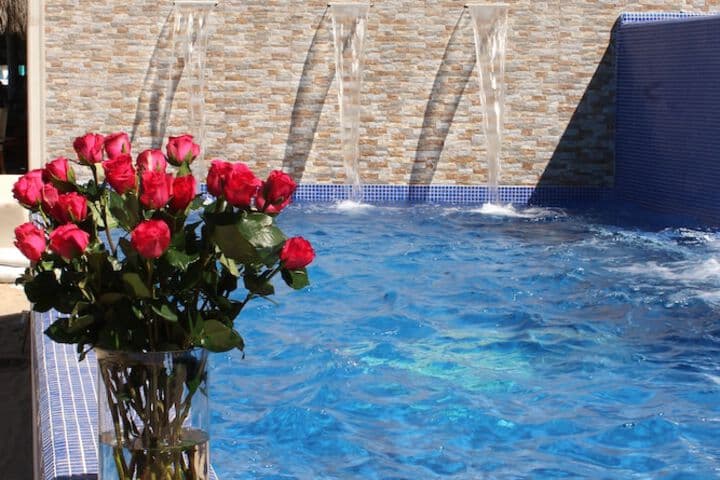 Vallarta Shores Beach Hotel photo 4