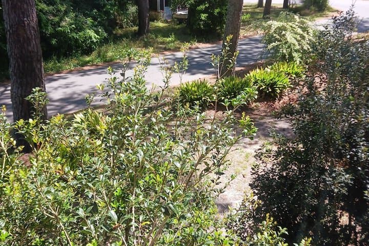 Island House of Wanchese photo 2