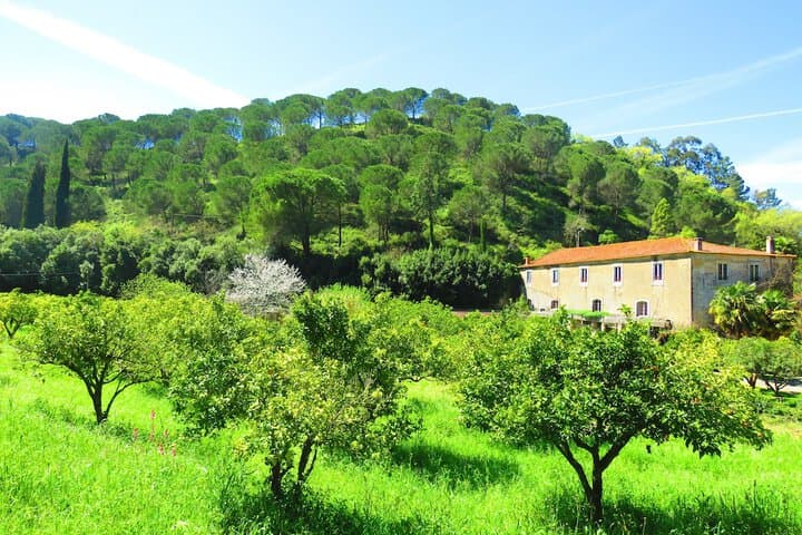 Alcaria destination view