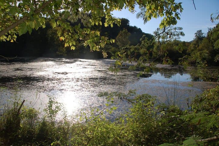 Creekwalk Inn&Cabins photo 4