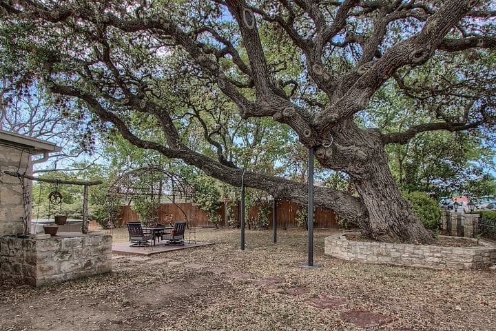 The Evers House photo 4