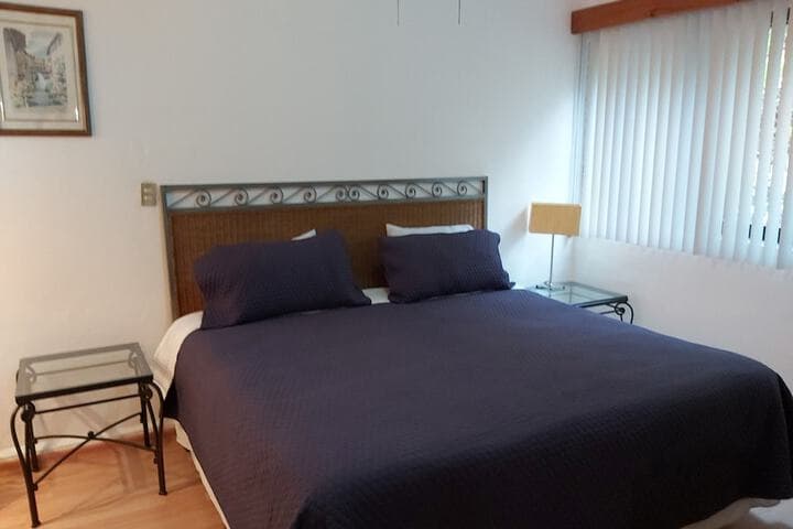 Steinhaus Homero photo 3