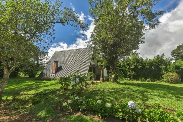 Villa Calas photo 2