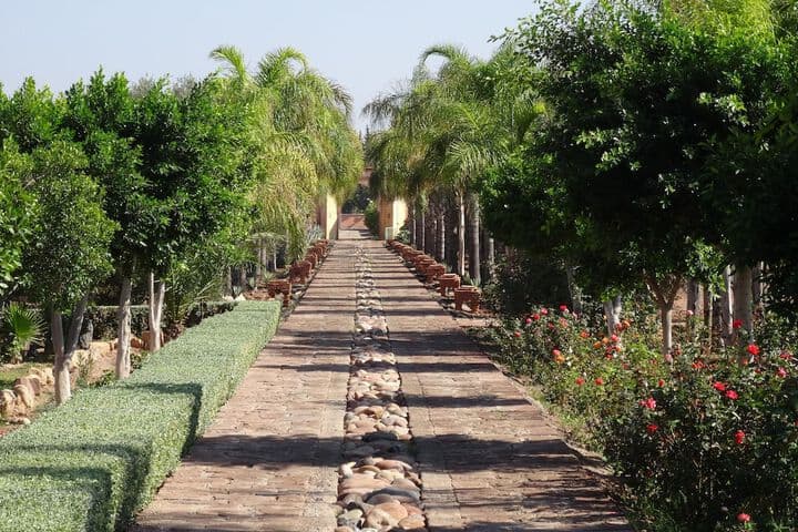 Terra Mia Marrakech Riad photo 3