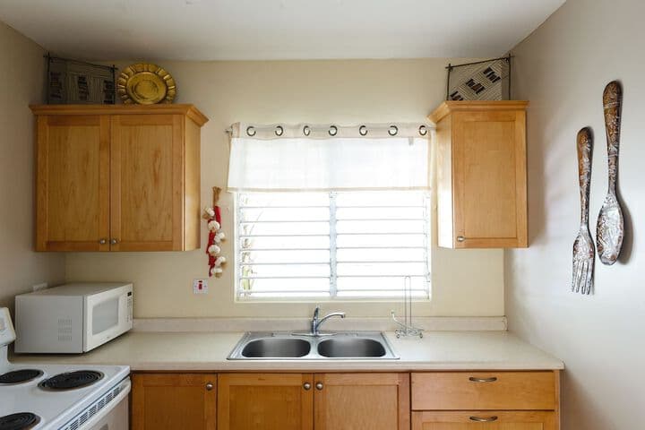 New Kingston Guest Apartment VII photo 3