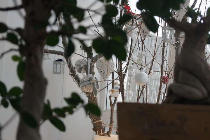 La Bella Trani photo 4