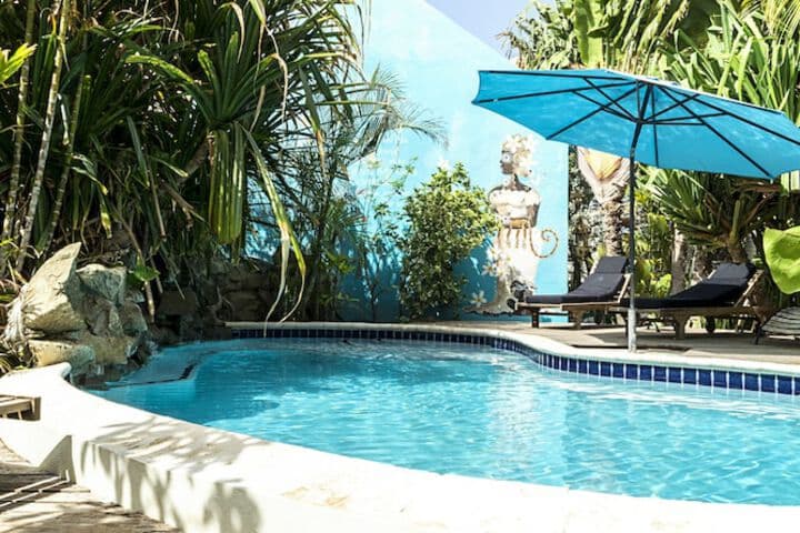 Pietermaai Tropical Vibes photo 5