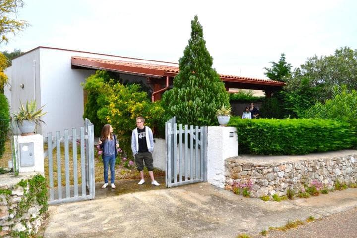 Casa Andrea photo 3