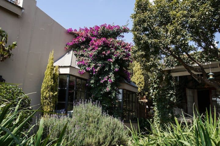 Town&Country Guest House photo 4