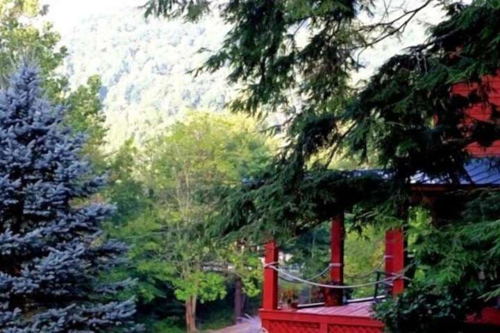 Mountain Harbour B&B&Hiker Hostel photo 4