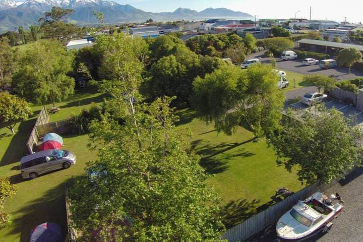 Alpine pacific Holiday Park photo 2