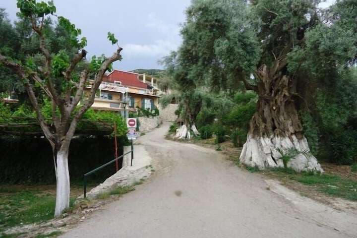 Poros Beach photo 4