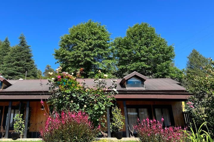Malachite Manor photo 3