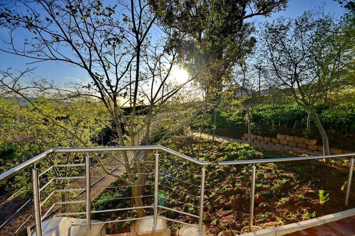 Val du Charron Guest House & Wine Estate photo 3