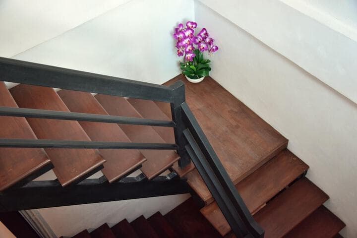 Seedling House photo 2