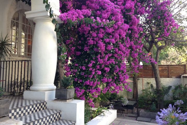 Meridiano Sur Petit Hotel photo 2
