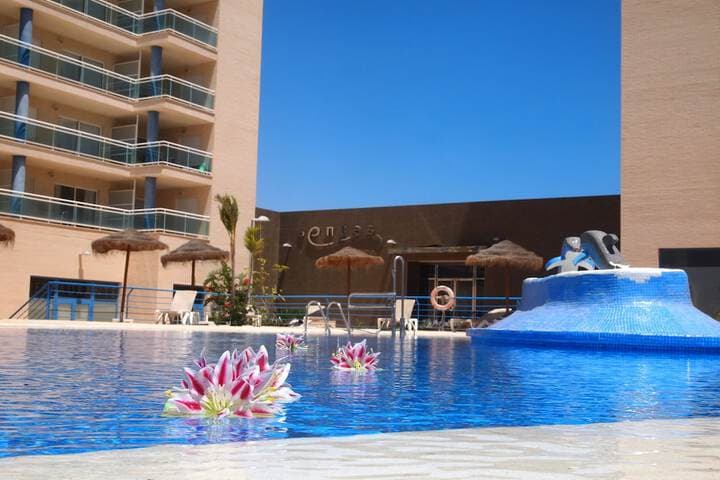 Apartamentos Europa House Sun Beach photo 2