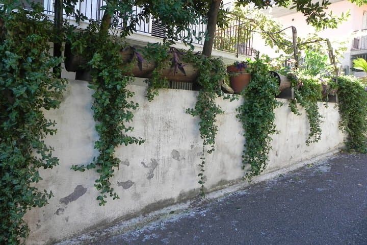 Affittacamere Bellavista photo 4