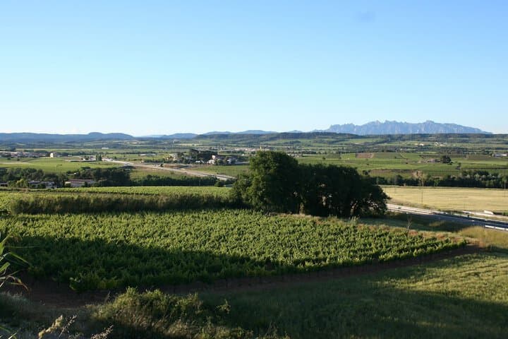 B&B Wine&Cooking Penedès photo 2