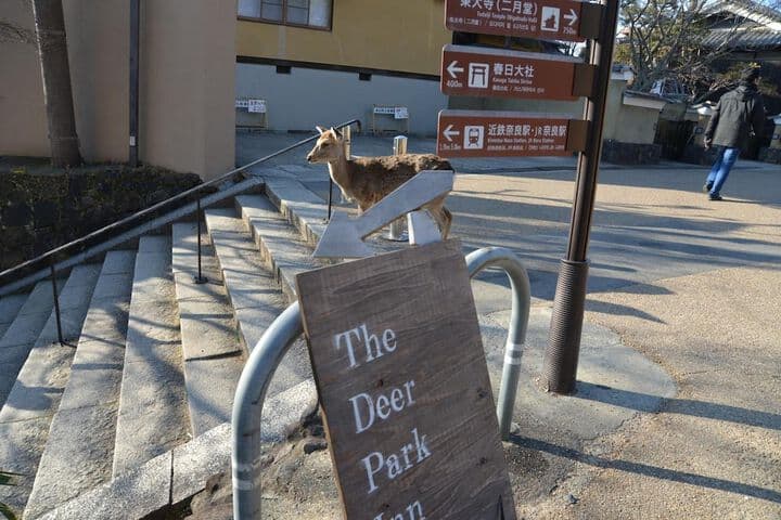 The Deer Park Inn photo 5