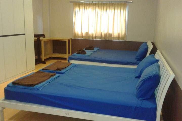 Treechart Hostel photo 5