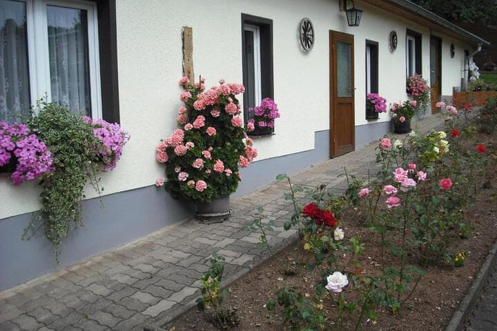 Pension Möhring photo 3