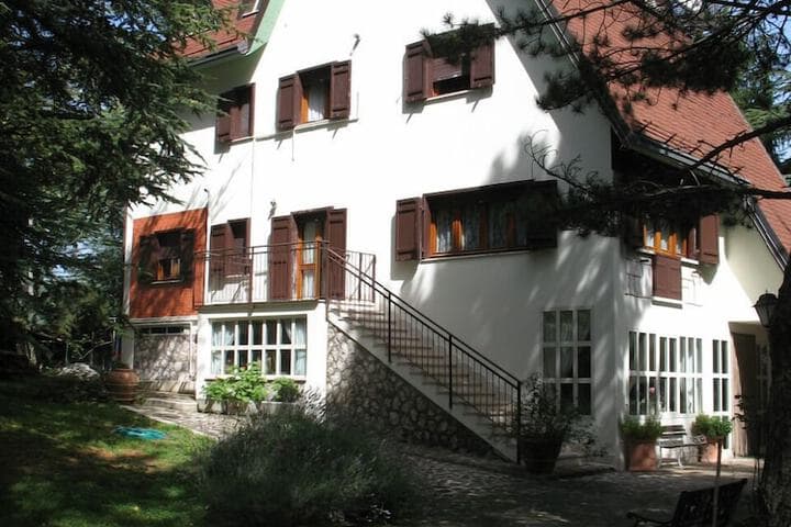 Gli Scoiattoli photo 1