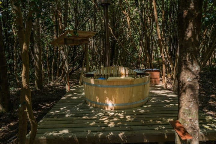 Cabañas Ensenada Bosque Nativo photo 3