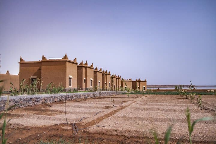 Ecolodge l Ile de Ouarzazate photo 5